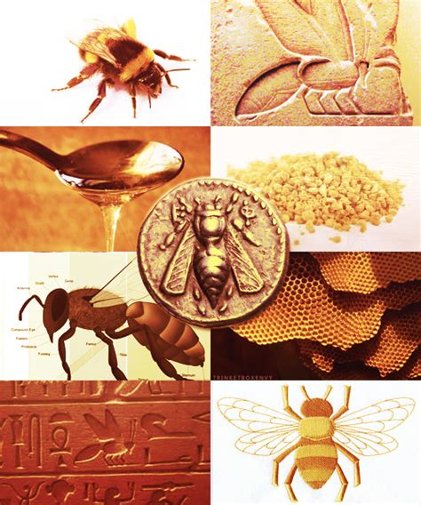 The Nurturing Role of Bees in Ancient Egyptian Magic